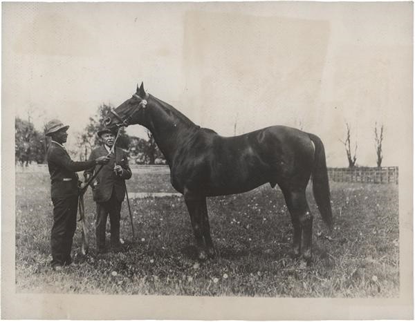 - Man O War Horse Racing Photograph (1926)