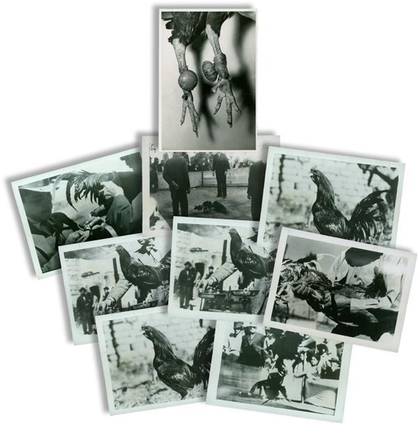 Rock And Pop Culture - 1938 Cock Fighting Original Photographs (7)