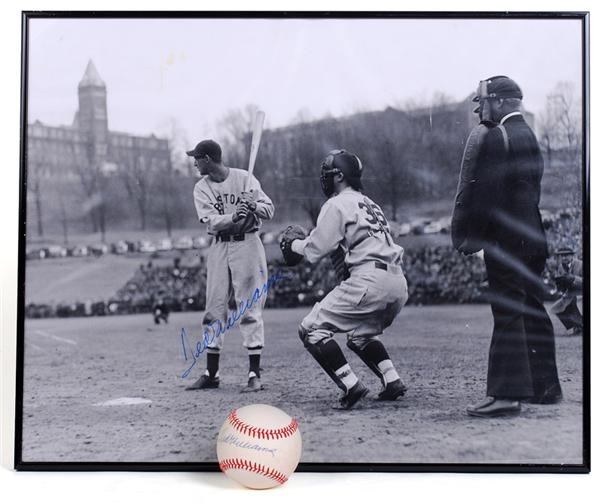 - Ted Williams single signed Baseball and 16x20 Signed Photo