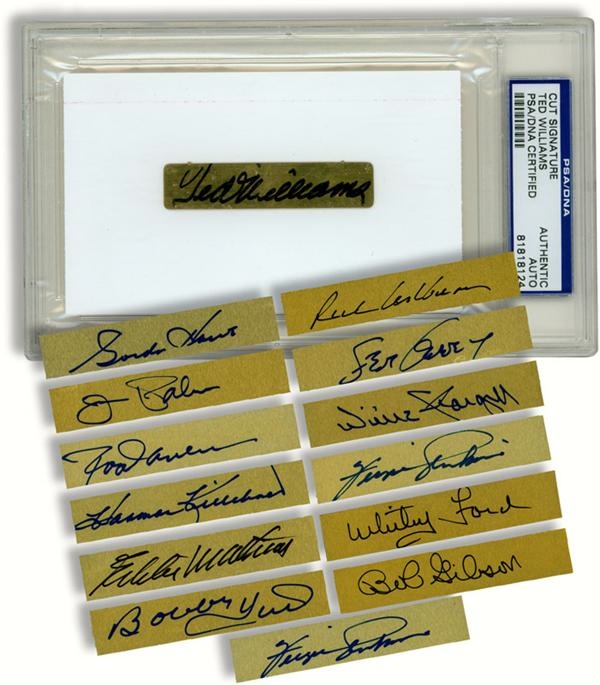 - Baseball & Hockey Hall of Famers and Stars Signed Nameplates with Ted Williams (14)