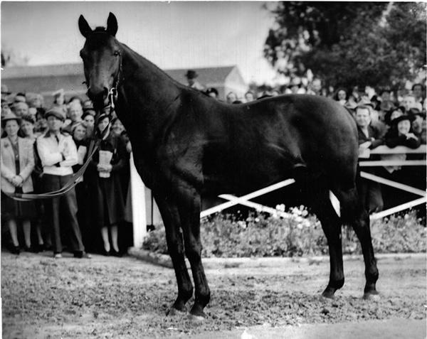 Horse Racing - SEABISCUIT
Fine image, 1941