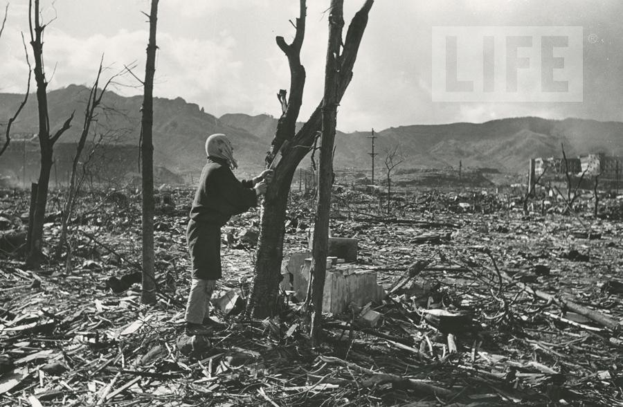 - Nagasaki by Alfred Eisenstaedt (1898 - 1995)