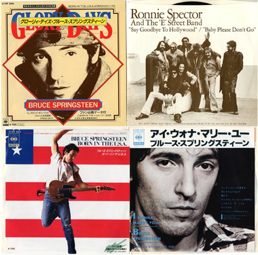 Rock 'n'  Roll - Fantastic Bruce Springsteen Record Collection