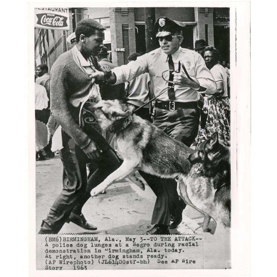 - 1963 Dog Attacks at Racial Demonstration
