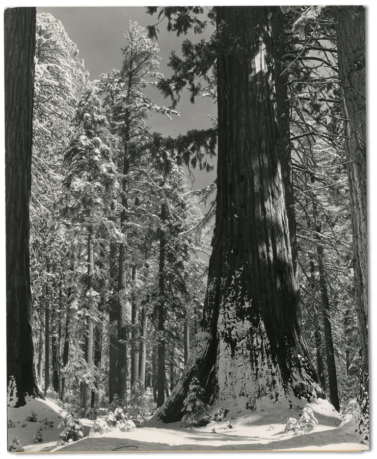 Rock And Pop Culture - Ansel Adams Winter in Yosemite Photo #2
