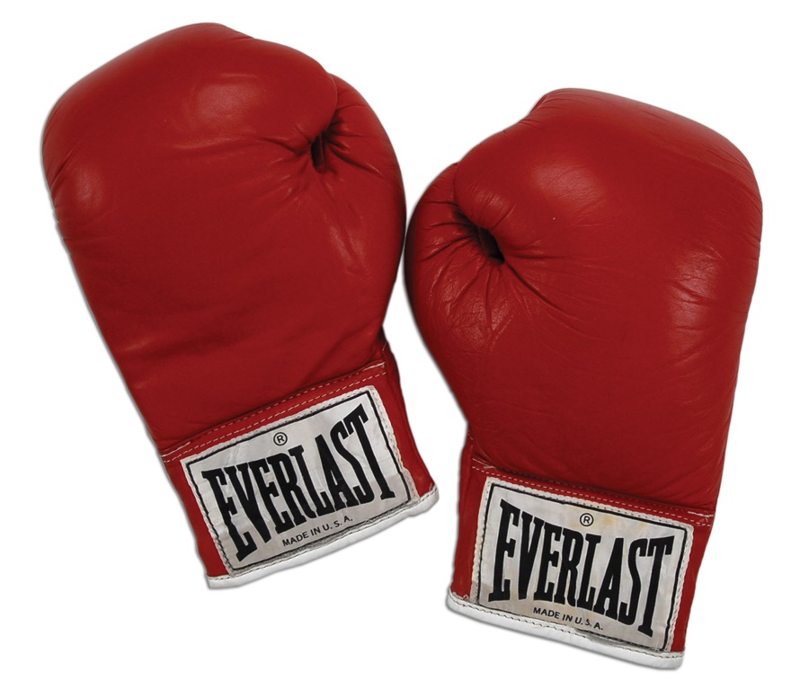 The Steve Lott Boxing Collection - Mike Tyson's Fight Gloves - Larry Holmes Match