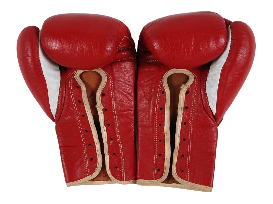 The Steve Lott Boxing Collection - Wilfredo Benitez Fight Gloves - Hope Match