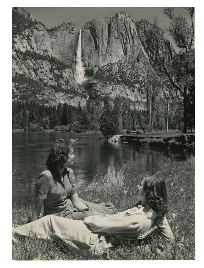 Rock And Pop Culture - Yosemite Falls and The Merced River by Ansel Adams