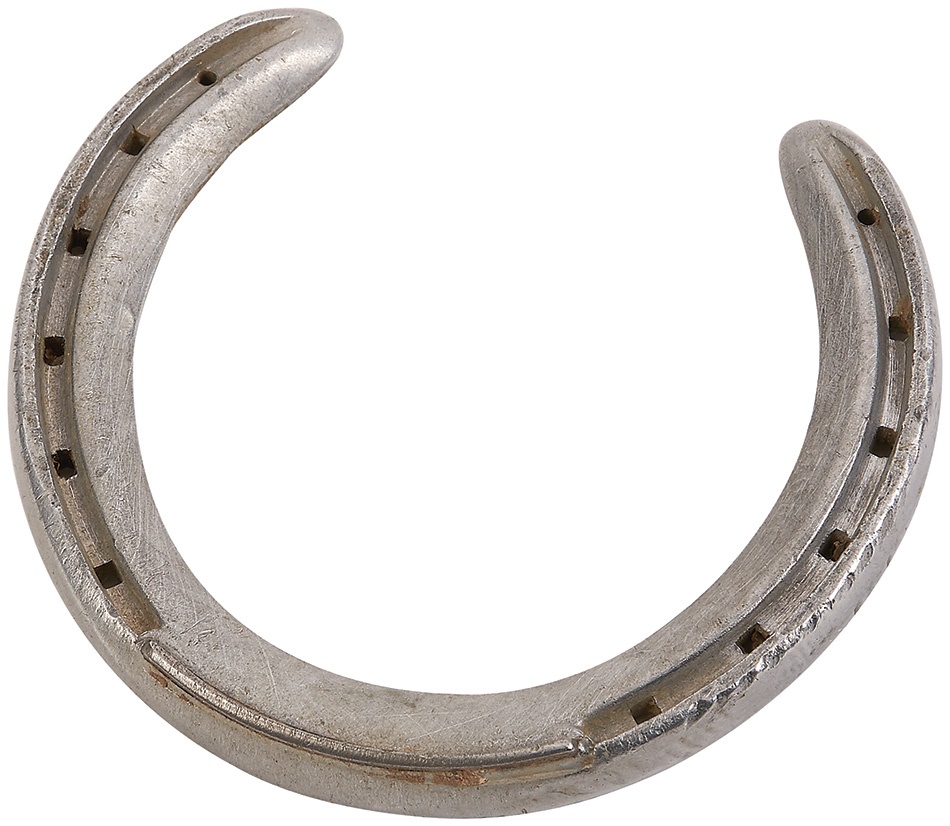 Horse Racing - Seattle Slew Winning Woodward Track Record Race Worn Horse Shoe