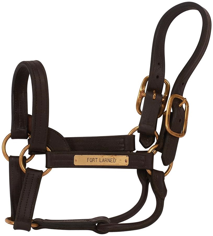 - Fort Larned Stallion Halter