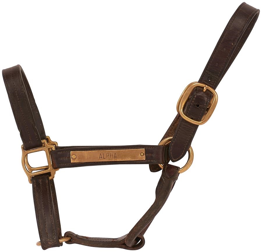 Alpha Race Track Halter