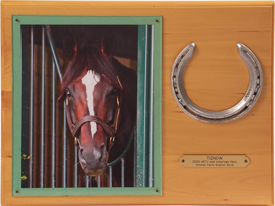 Tiznow Retirement Shoe Plaque and Halter