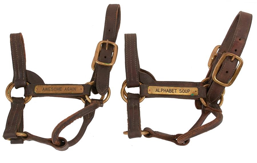 - Breeders Cup Classic Halter Lot (Alphabet Soup and Awesome Again)