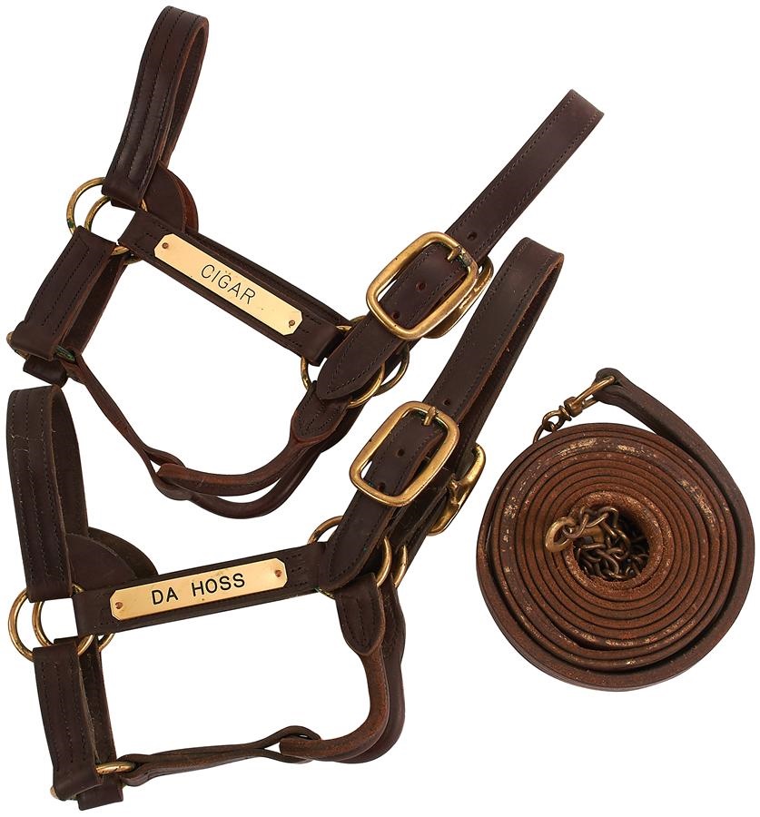 - Kentucky Horse Park Halter Lot of Dahoss and Cigar (2)