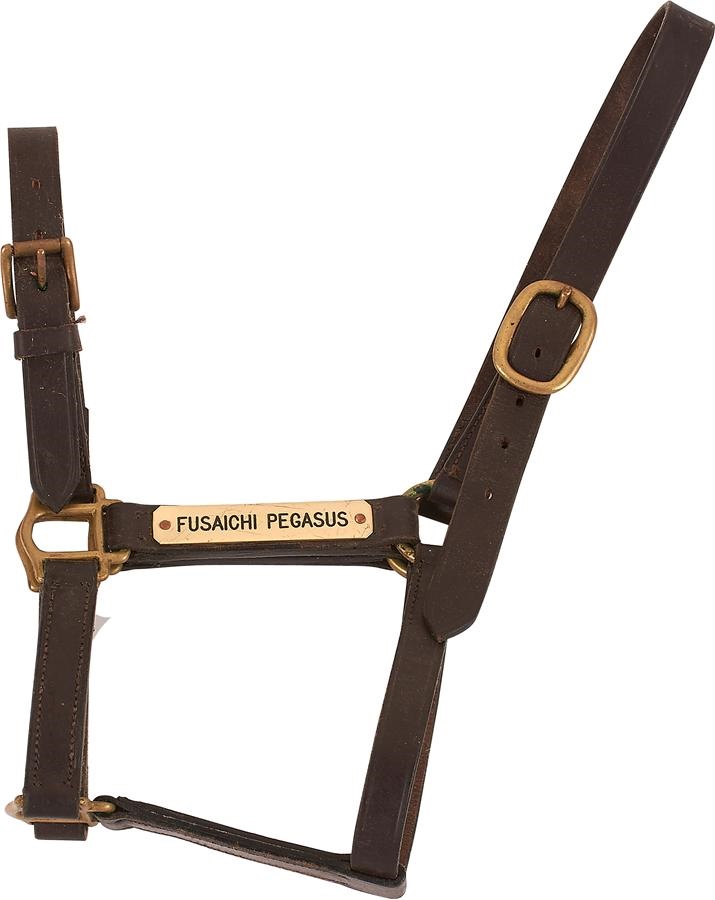 - Fusaichi Pegasus Halter