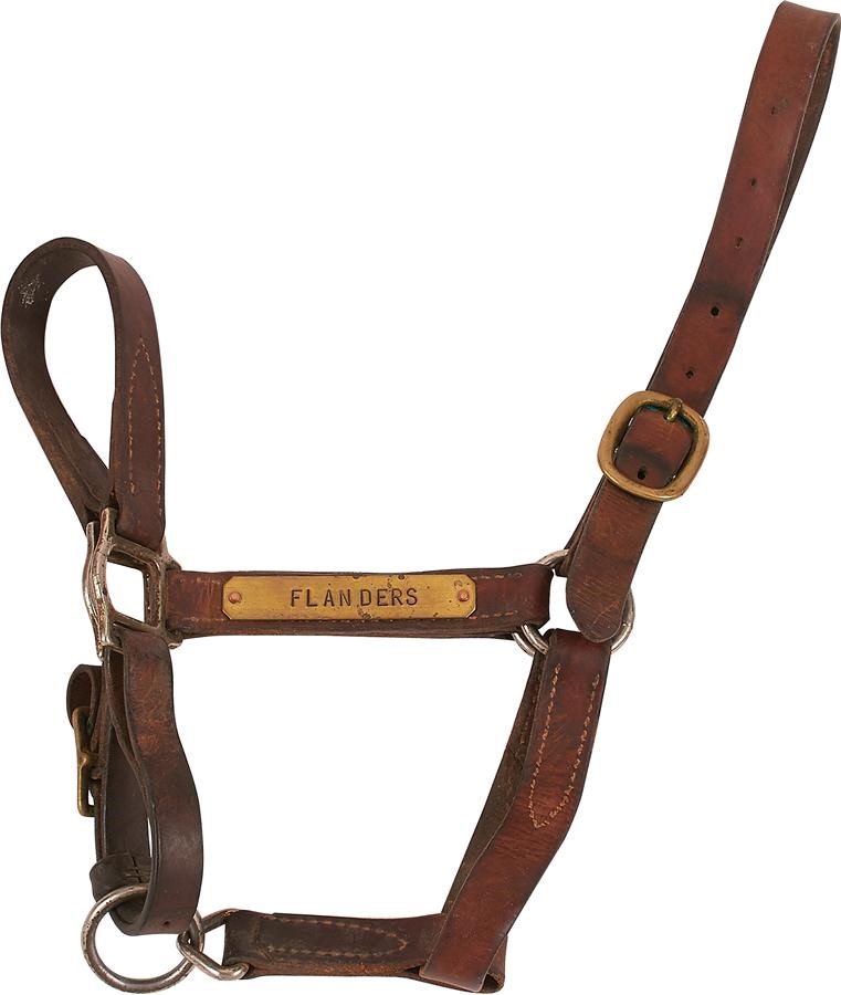 Flanders Halter