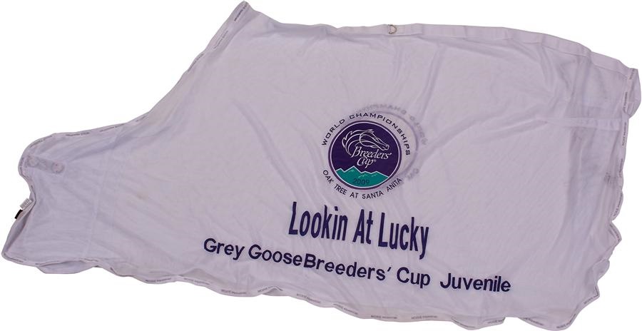 Horse Racing - Lookin at Lucky BC Juvenile Fly Sheet Blanket