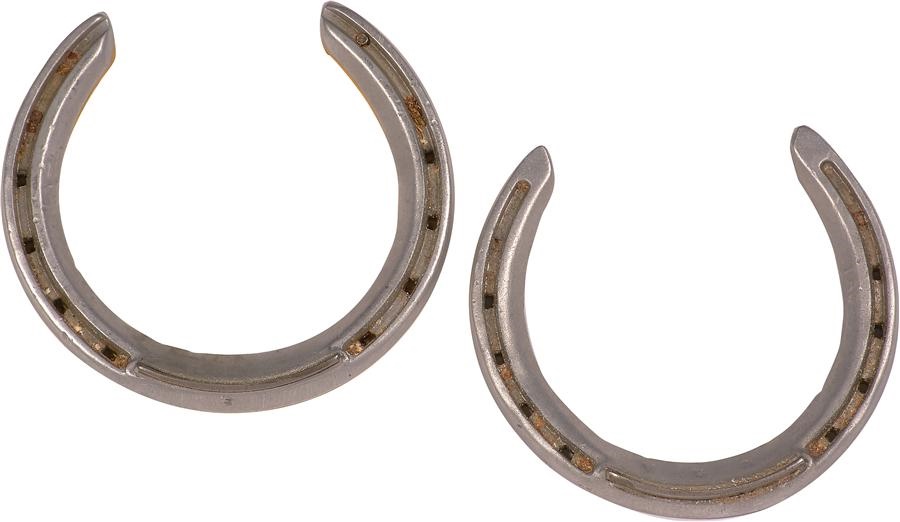 Horse Racing - Pair of Horseshoes Worn by Medaglia D'Oro