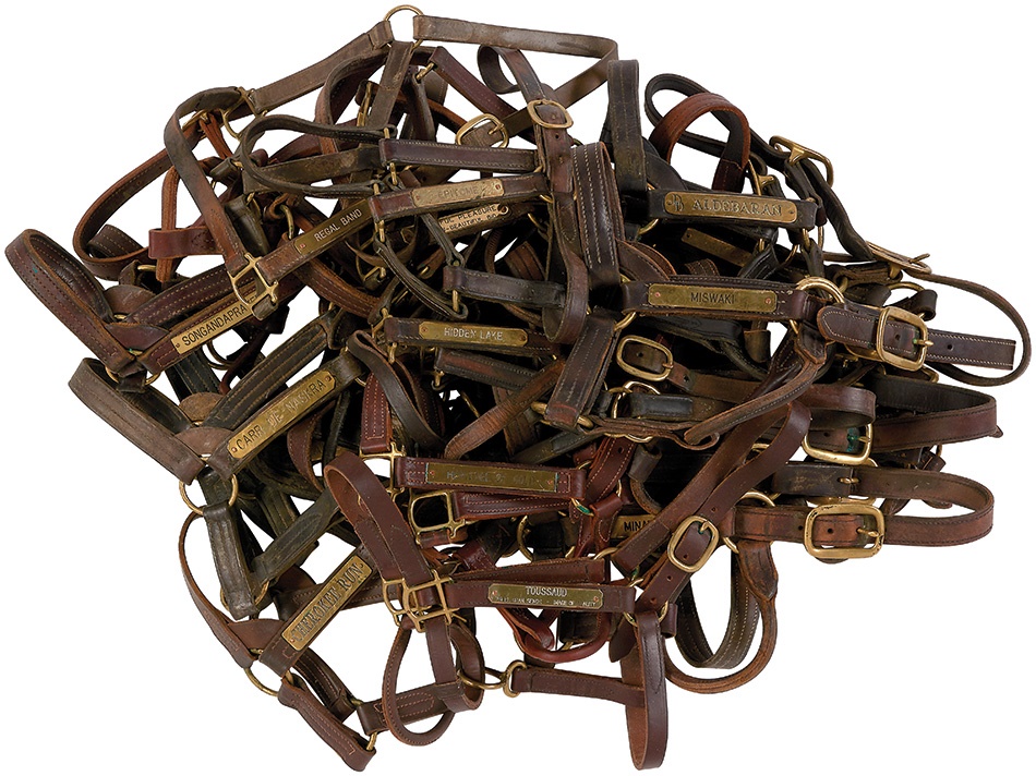 Amazing Collection of Stallion/Broodmare Halters (20)