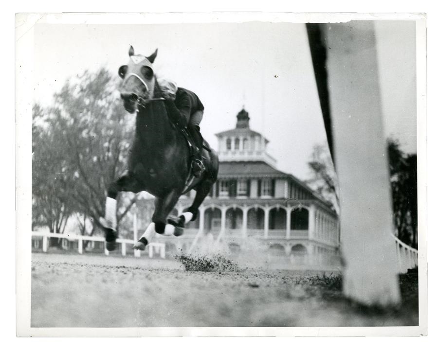 Seabiscuit Photo from Cover of Laura Hillebrand Book