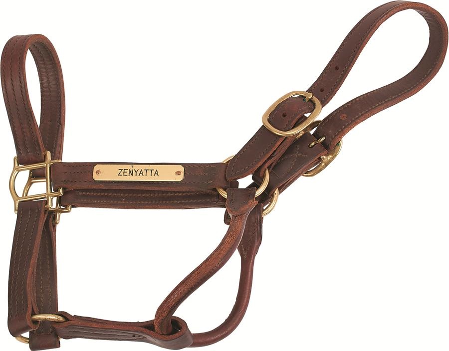 - Zenyatta Halter