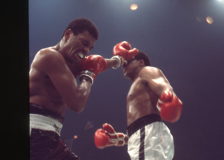 Collection of Muhammad Ali's Manager's Personal Ph - 1976 Muhammad Ali vs. Jimmy Young From-The-Camera Fight Negatives (47)