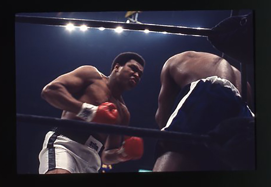 Collection of Muhammad Ali's Manager's Personal Ph - 1977 Muhammad Ali vs. Earnie Shavers From-The-Camera Fight Negatives (49)