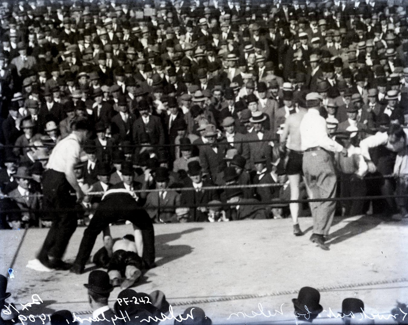 Dana Collection Of Important Boxing Negatives - 1909 Battling Nelson vs. Dick Hyland "Out Like a Light" Type I Glass Plate Negative by Dana Studio