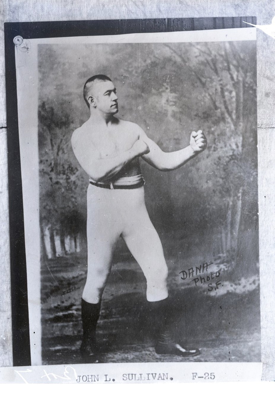 Dana Collection Of Important Boxing Negatives - 1890s Legendary Boxer John L. Sullivan Glass Plate Copy Negatives by Dana Studio (6)