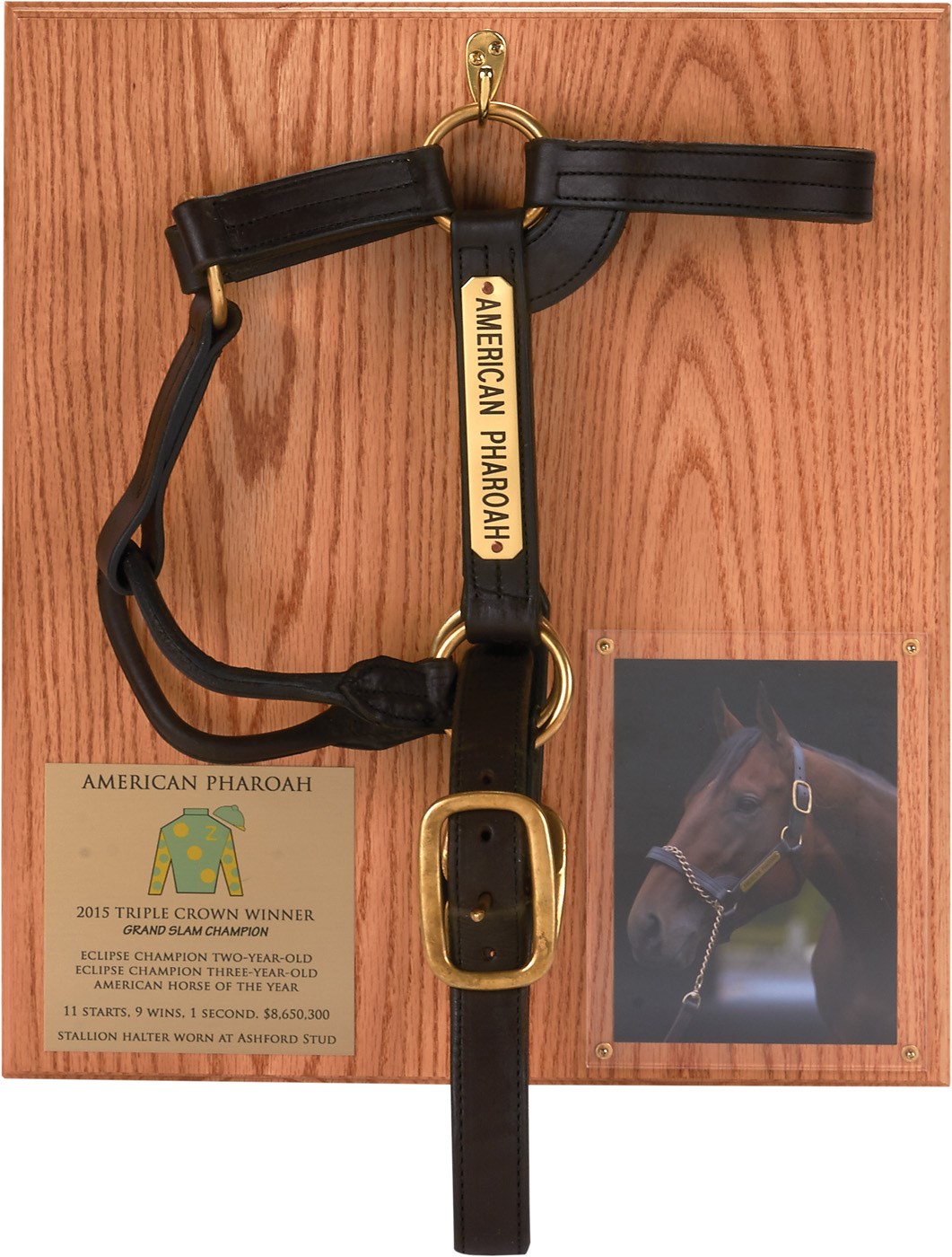 Horse Racing - 2015 Breeders Cup American Pharaoh Ashford Stud Halter, Nail & Hair Plaques (3)