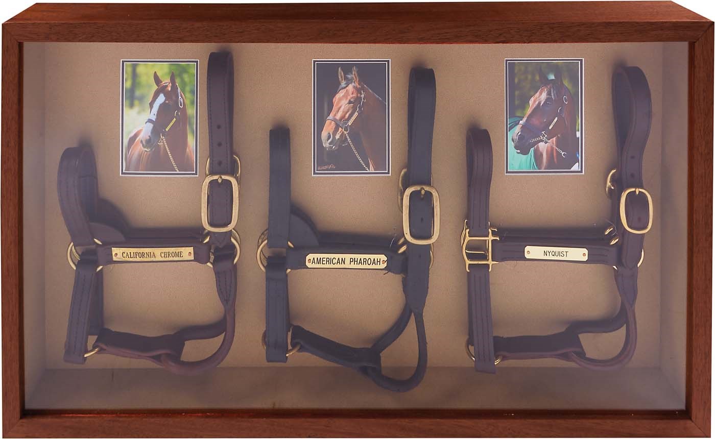Horse Racing - 2014-16 Kentucky Derby Winners Halter Display - American Pharoah, California Chrome & Nyquist (LOA)