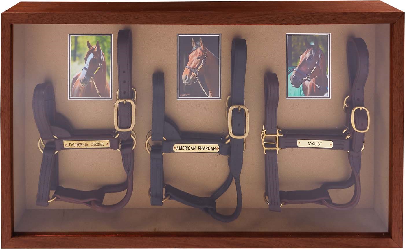 - 2014-16 Kentucky Derby Winners Halter Display - American Pharoah, California Chrome & Nyquist (LOA)