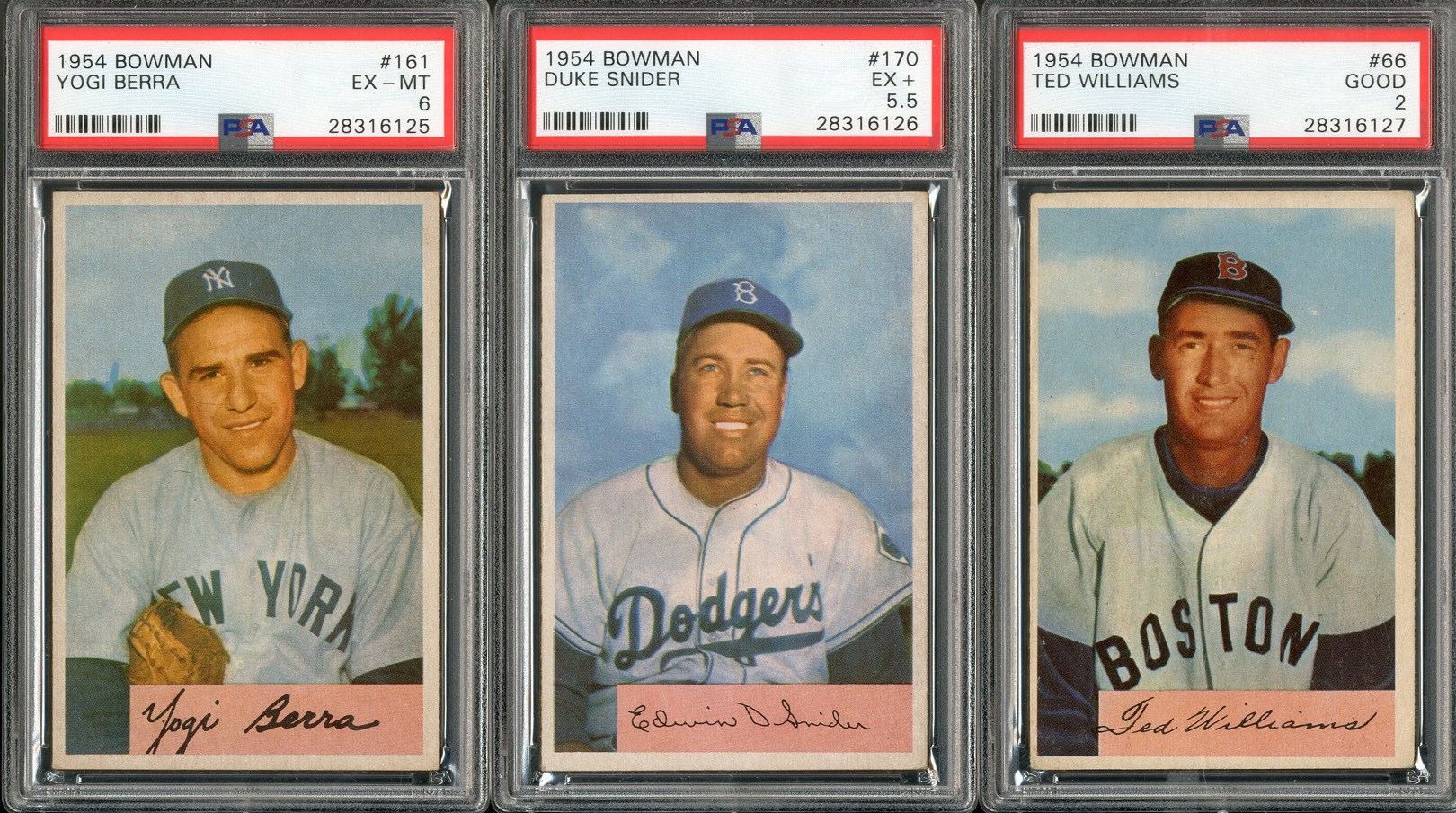 Baseball and Trading Cards - 1954 Bowman Complete Set of 225 Cards including #66 Ted Williams with PSA Graded!