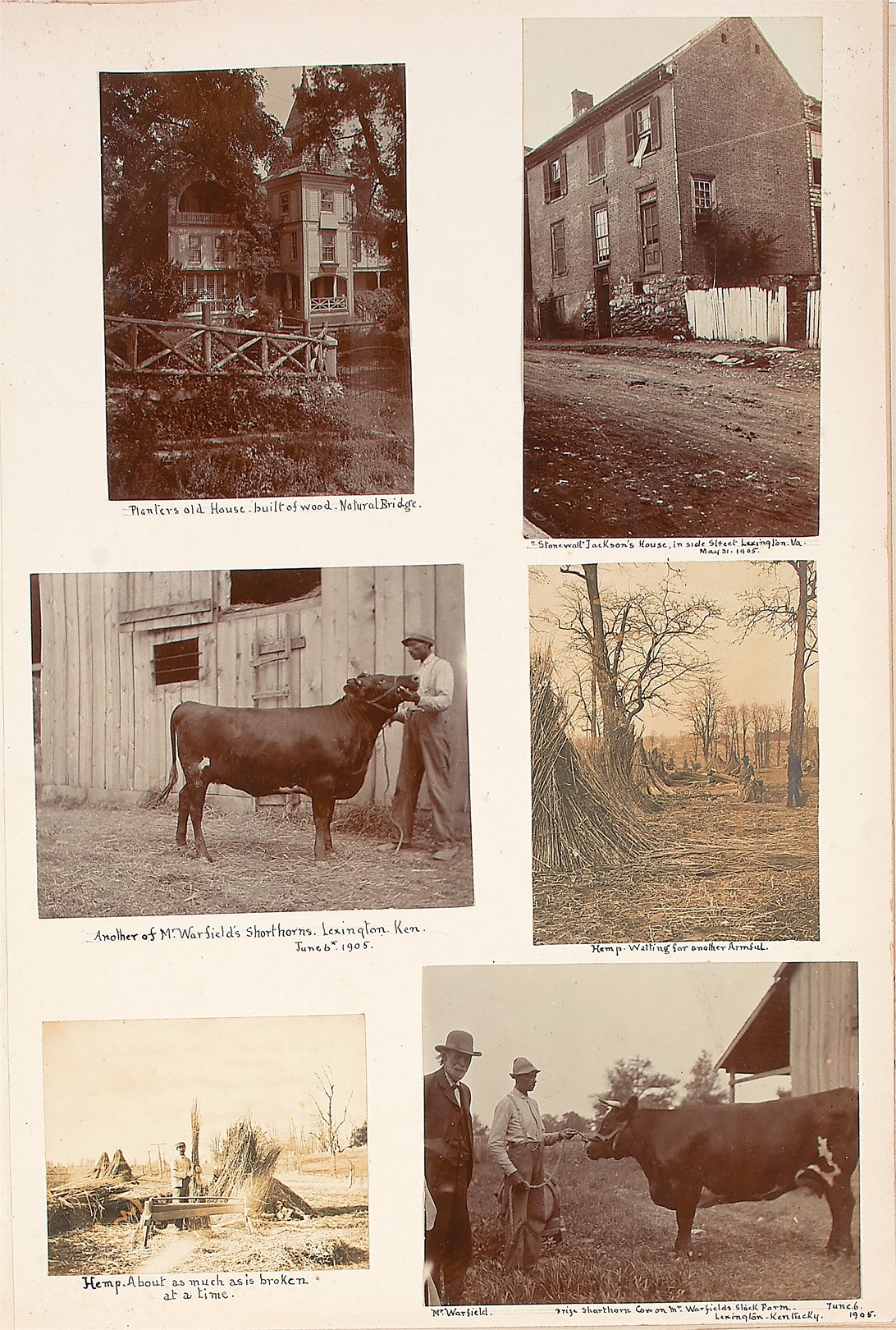 Horse Racing - 1905 Kentucky Derby Winner Photo Album from British Royalty - 1905 Marijuana Leaf Attached