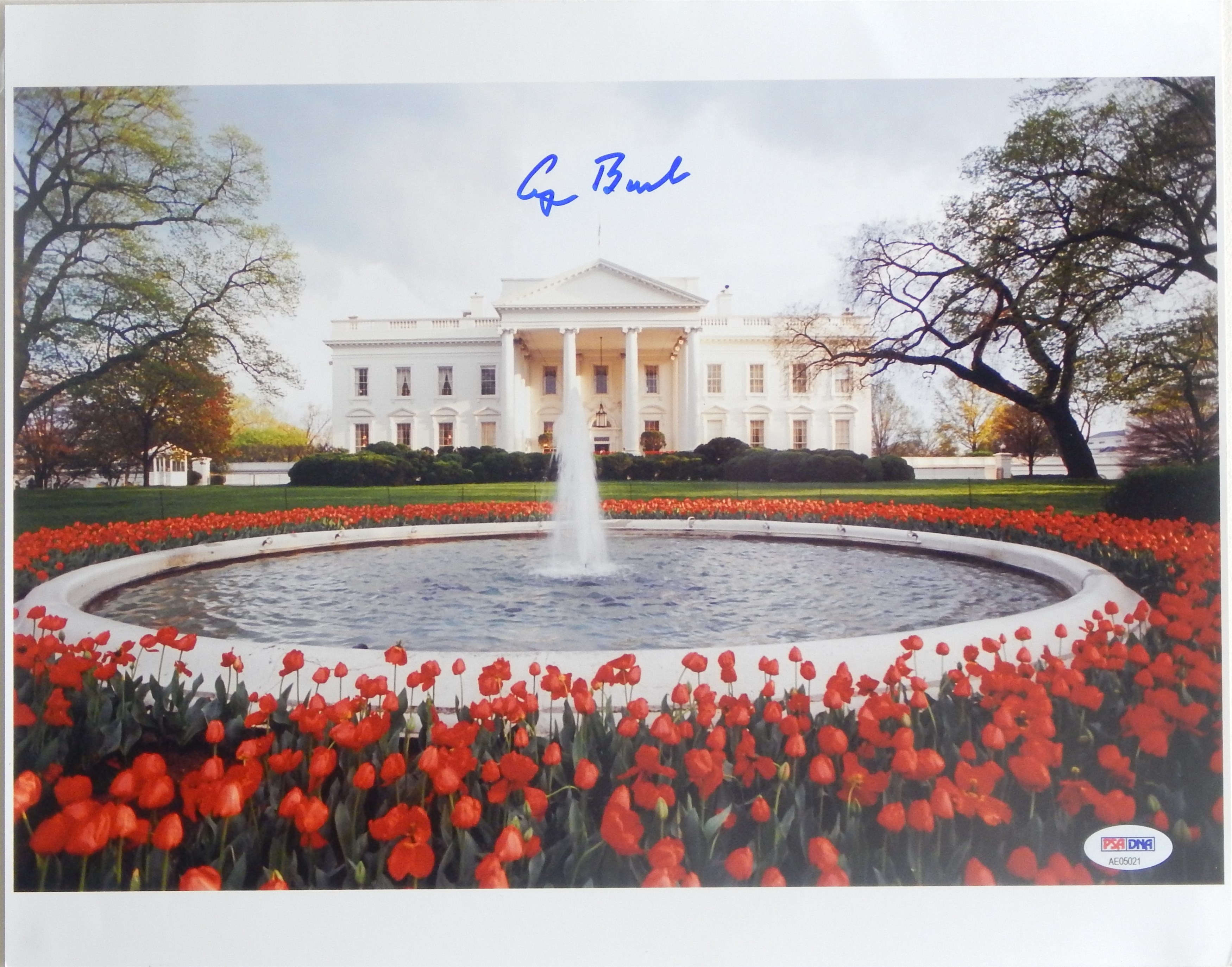 Presidential - Oversized Photo of the White House Signed by President George H.W. Bush