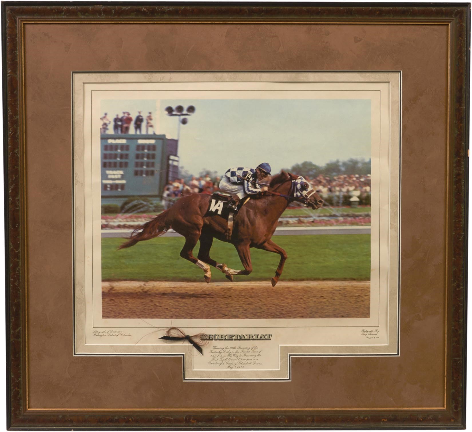 Horse Racing - 1974 Secretariat Framed Tony Leonard Piece with Lock of Hair and COA