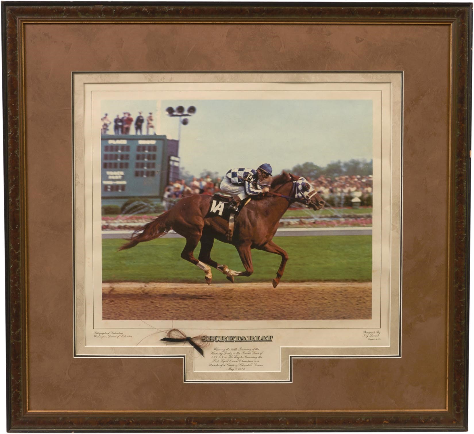 - 1974 Secretariat Framed Tony Leonard Piece with Lock of Hair and COA