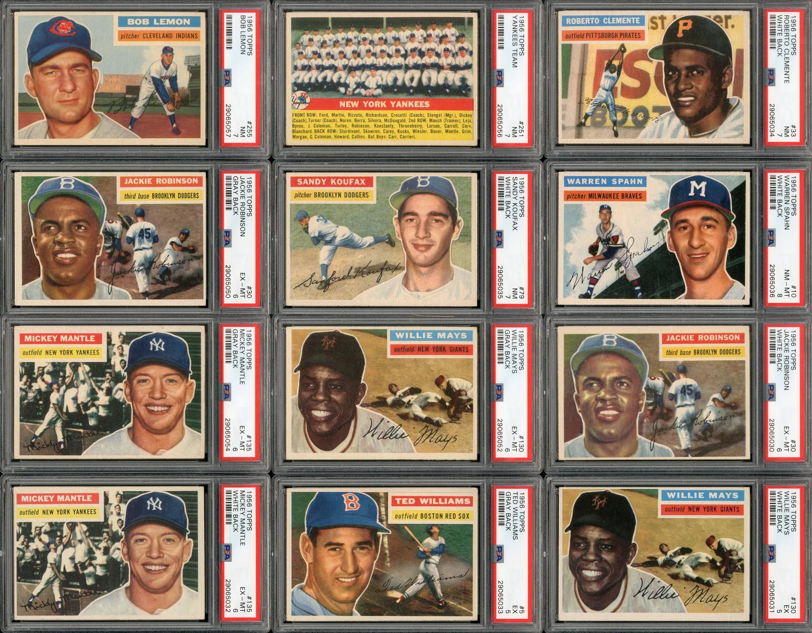- 1956 Topps Complete Master Set of 534 Cards with ALL White/Gray Back Variations (16 PSA Graded)