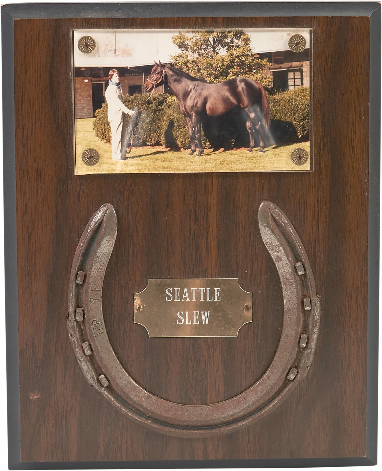 1984 Seattle Slew Worn Horseshoe - from Spendthrift Farm Groomsman (LOA)