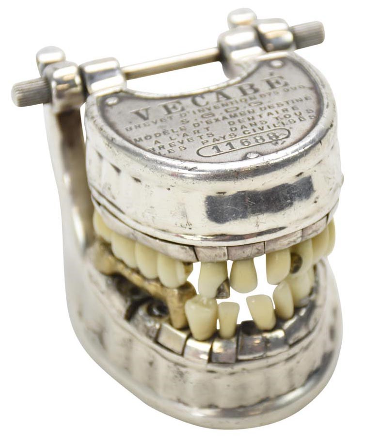 Rock And Pop Culture - Rare 1920s Dental Model by Vecabe
