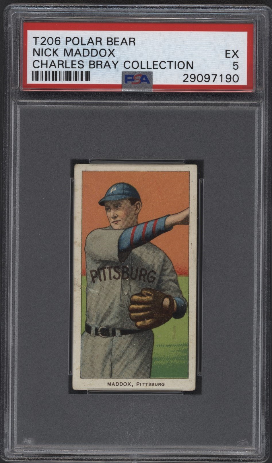 T206 Polar Bear Nick Maddox PSA EX 5 From the Charles Bray Collection