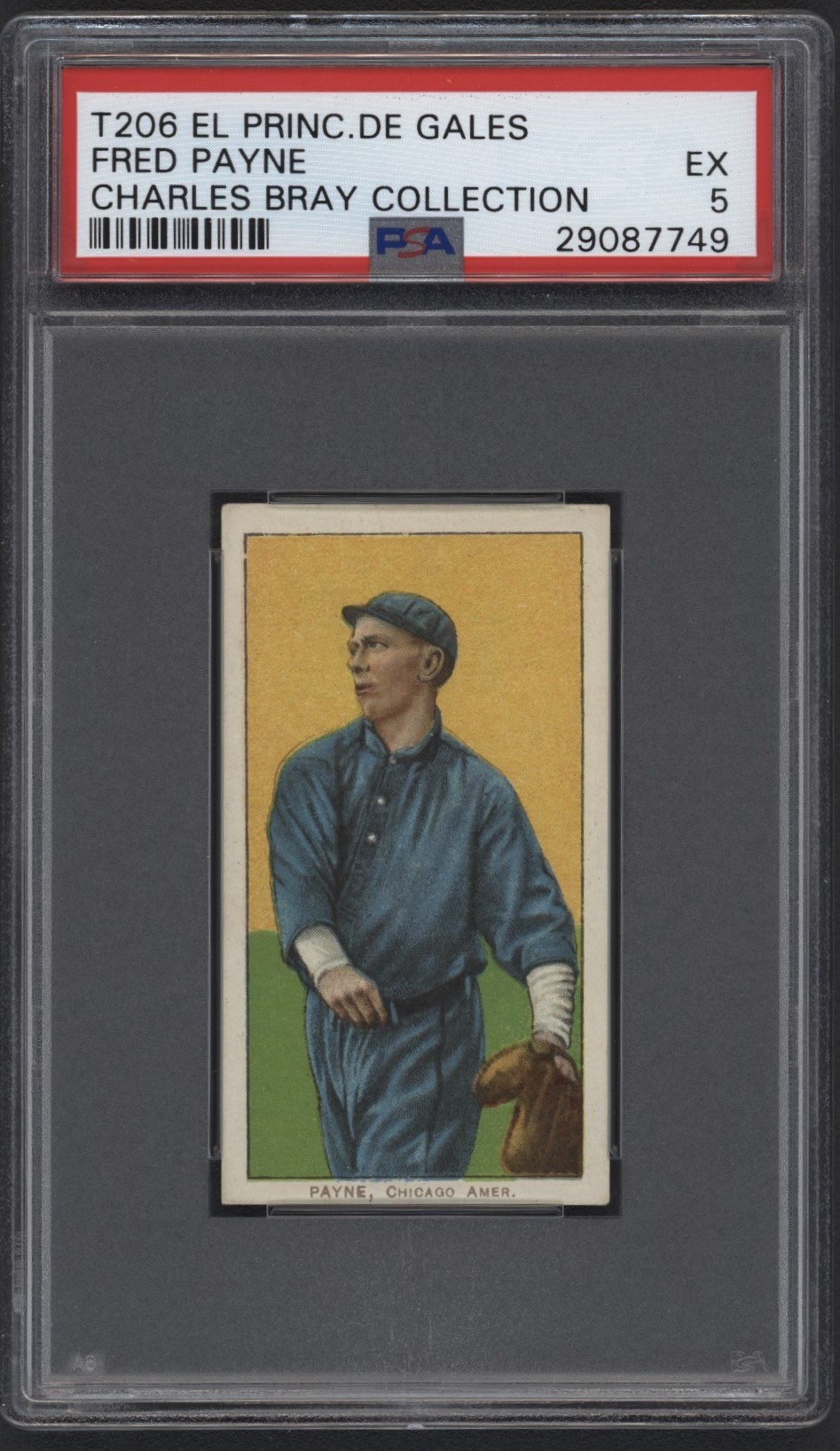 Baseball and Trading Cards - T206 El Principe De Gales Fred Payne PSA EX 5 From the Charles Bray Collection
