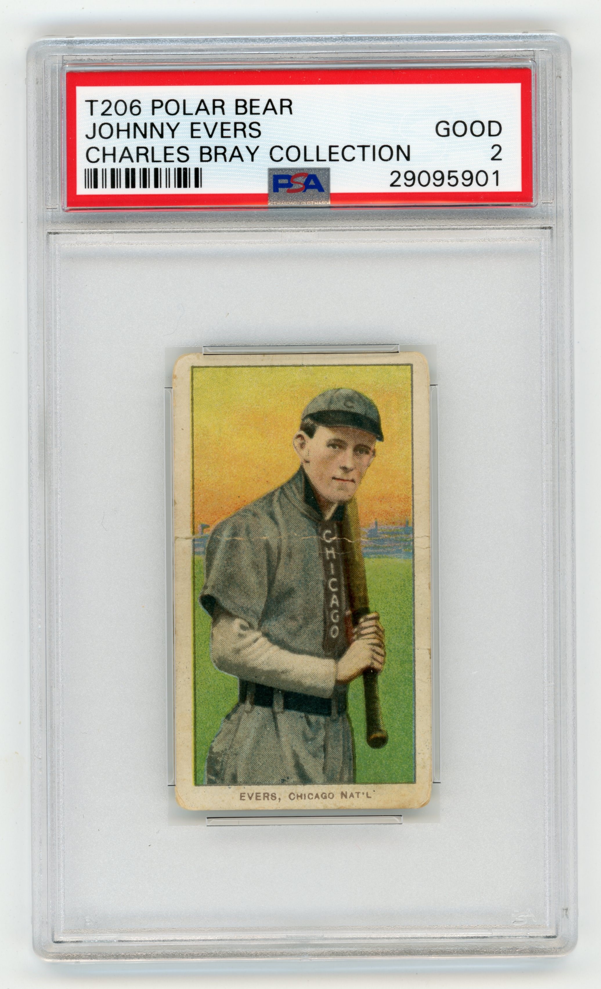 - T206 Polar Bear Johnny Evers PSA 2 From Charles Bray Collection