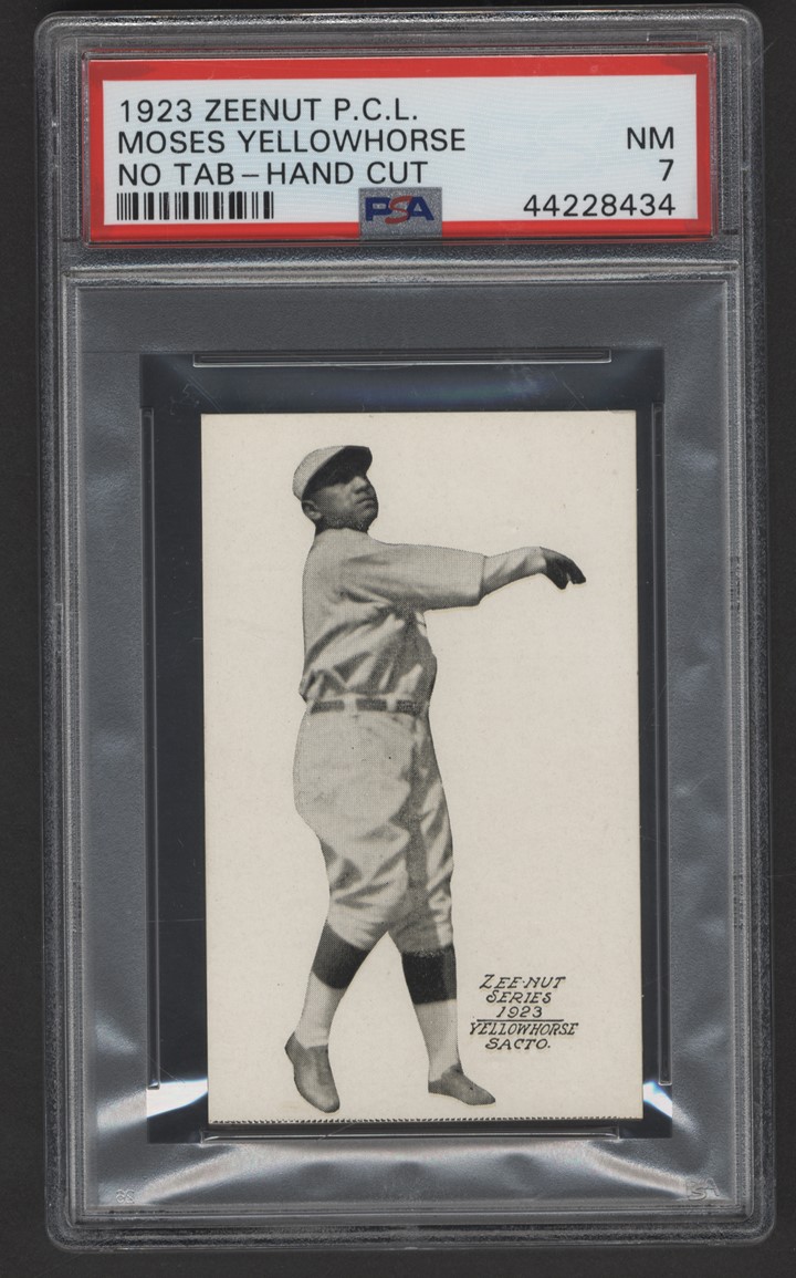 Baseball and Trading Cards - 1923 Zeenut PCL Moses Yellowhorse (PSA NM 7) - Pop 1 Highest Graded and Highest 1923 Zeenut EVER Graded