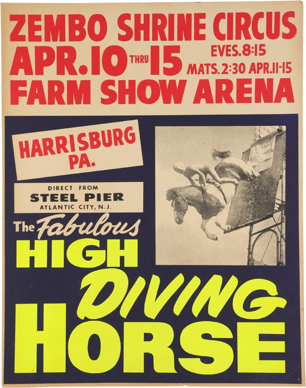 Rock And Pop Culture - 1950s High Diving Horse Broadside