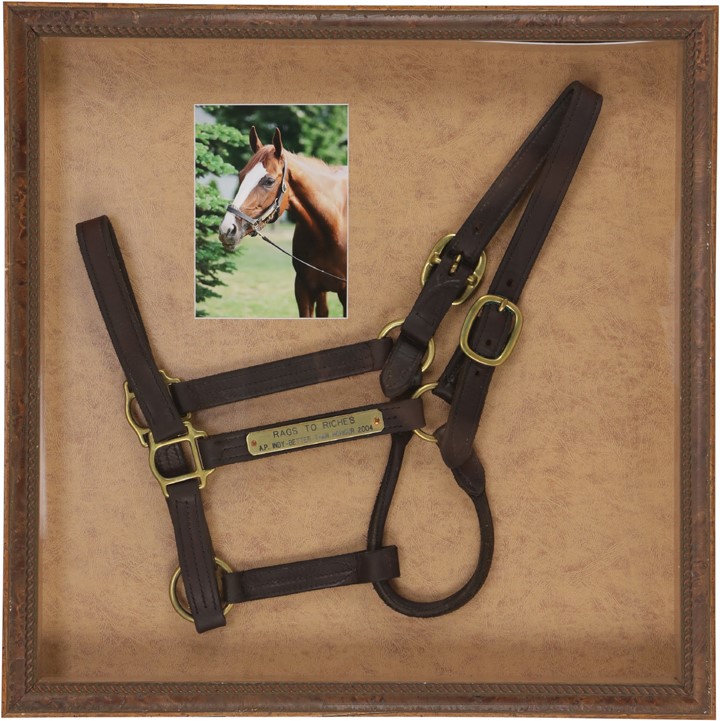 Horse Racing - Rags to Riches Worn Halter 2007 Belmont Winner (LOA)
