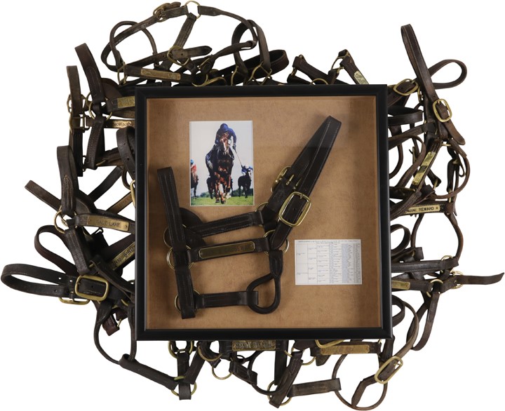Large Horse Racing Halter Collection with Cigar (65)