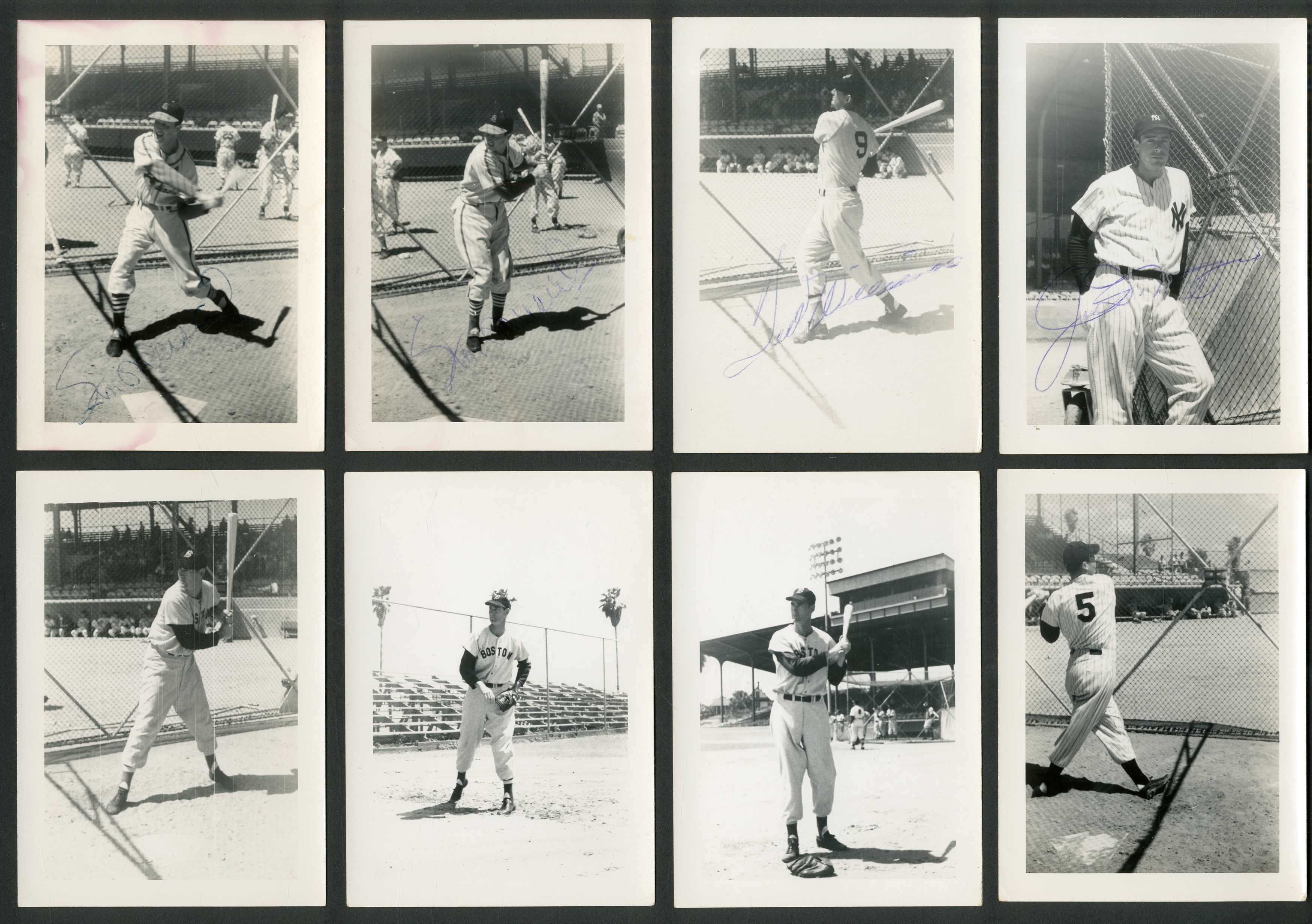 Vintage Sports Photographs - Type I Photograph Collection Taken by 1948 Cardinals Bat Boy - Some Signed with DiMaggio & Williams (100+)
