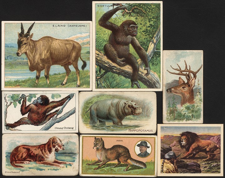 Animals & Nature Tobacco & Caramel Cards